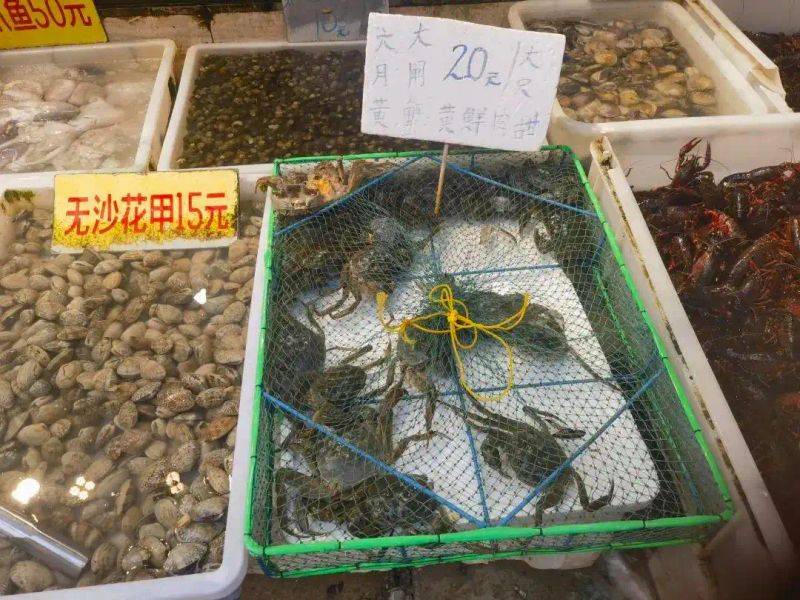 大闸蟹多少钱一公斤