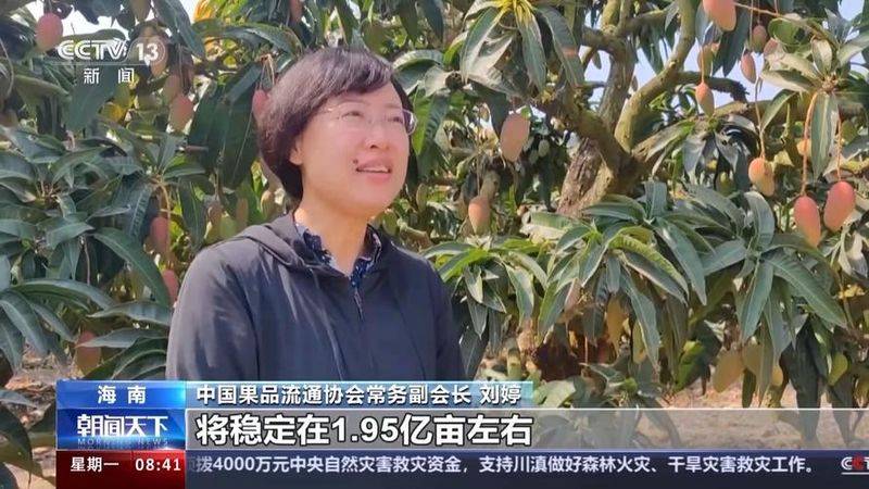 A fruit tree for the northeast