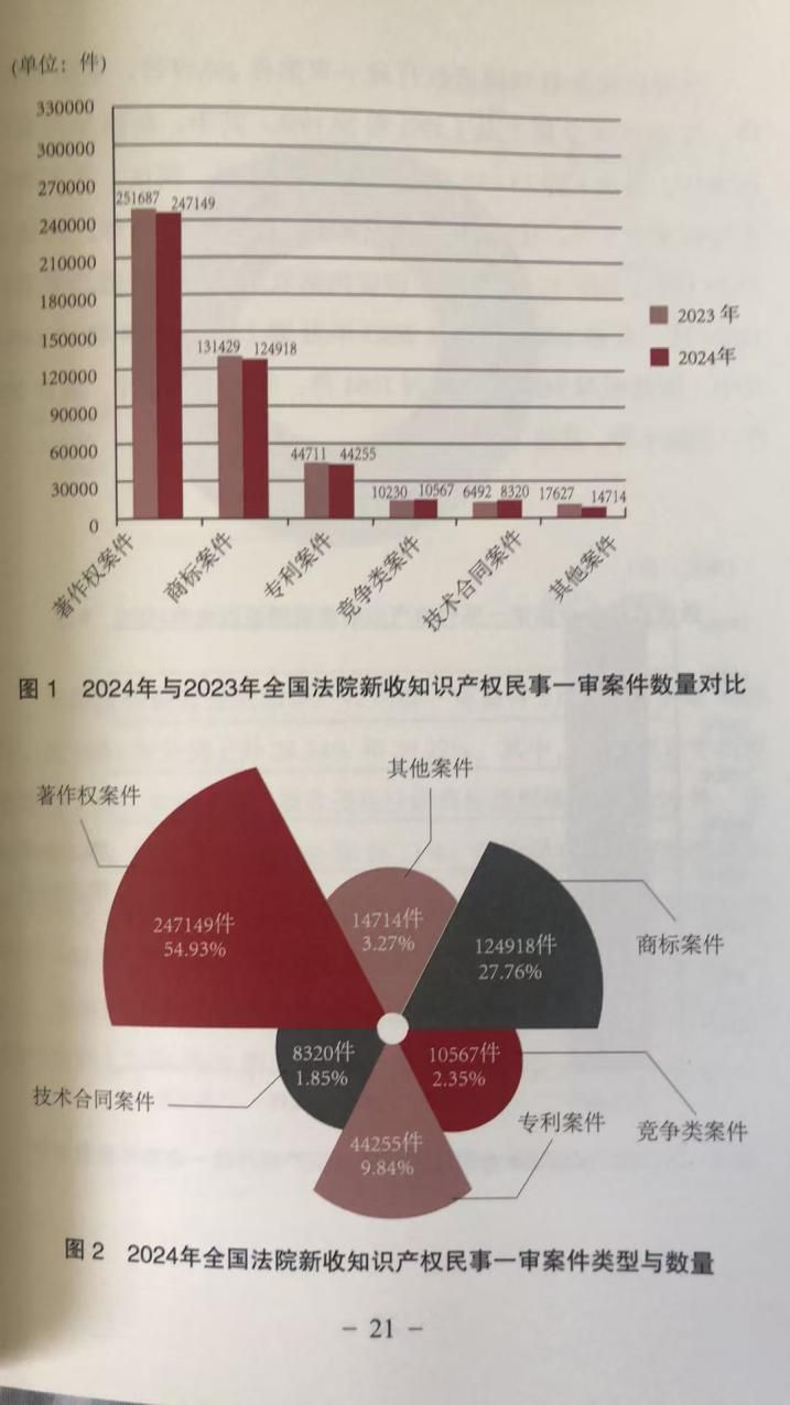 中国法院知识产权司法保护状况(2026年)