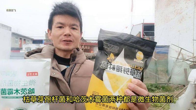 Videos of southern melon cultivation techniques