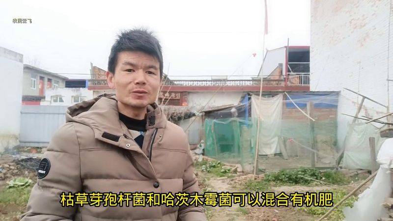Videos of southern melon cultivation techniques