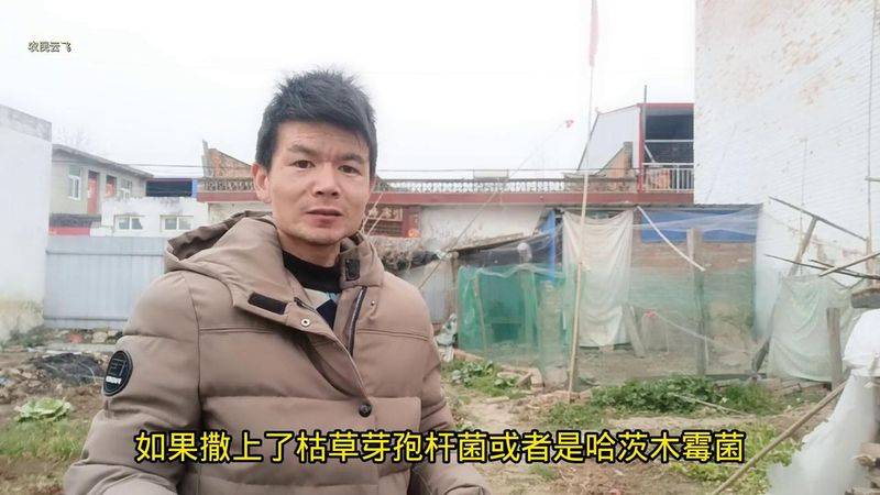 Videos of southern melon cultivation techniques