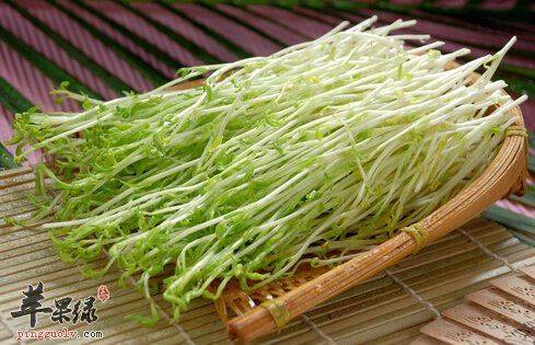 Family soya seedling cultivation methods