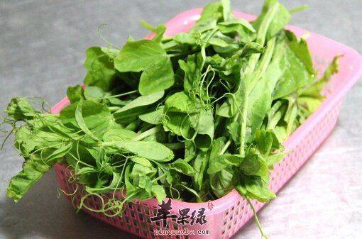 Family soya seedling cultivation methods