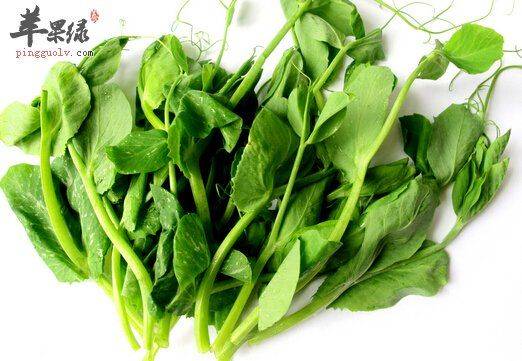 Family soya seedling cultivation methods