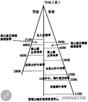 南美洲热带草原气候成因