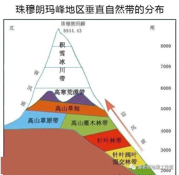 南美洲热带草原气候成因