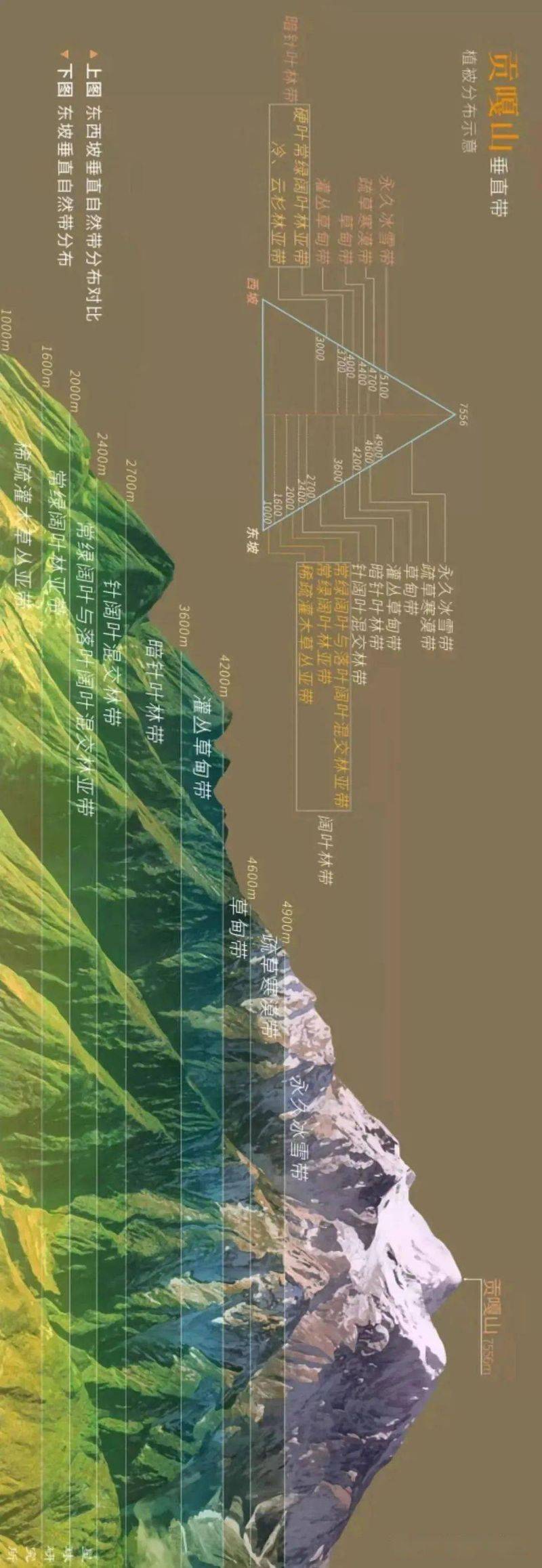 南美洲热带草原气候成因