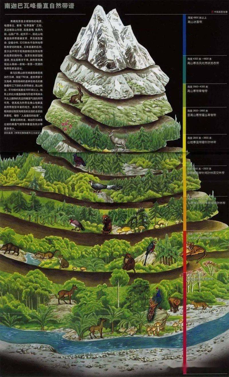 南美洲热带草原气候成因