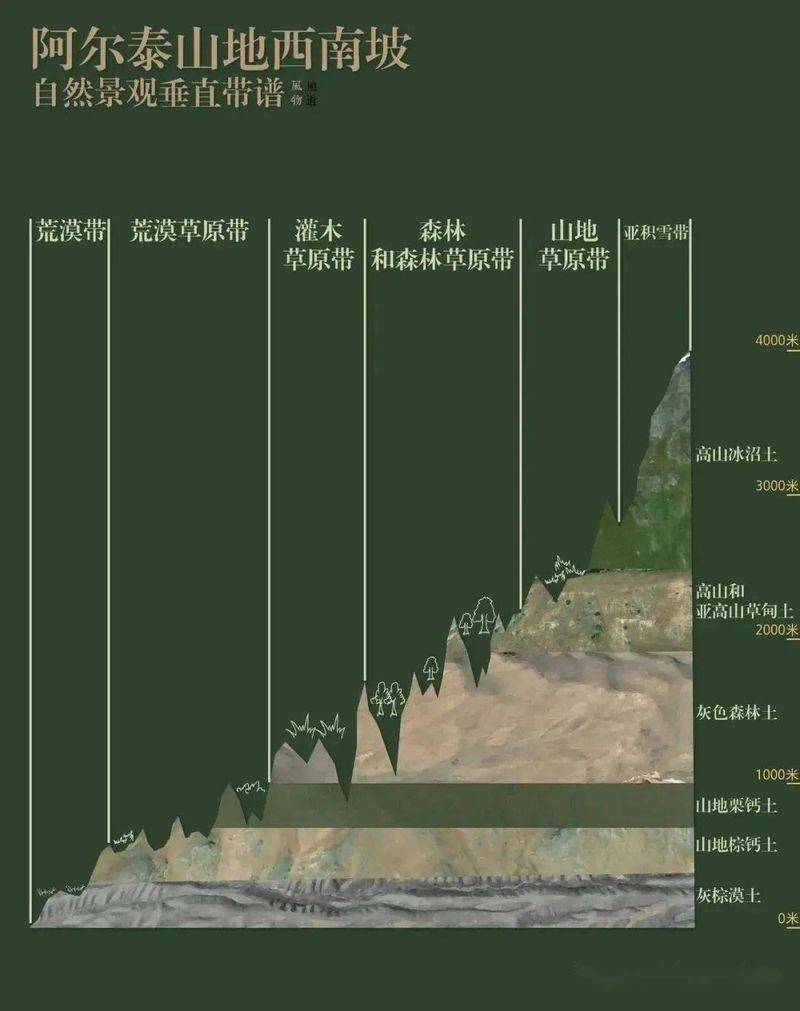 南美洲热带草原气候成因