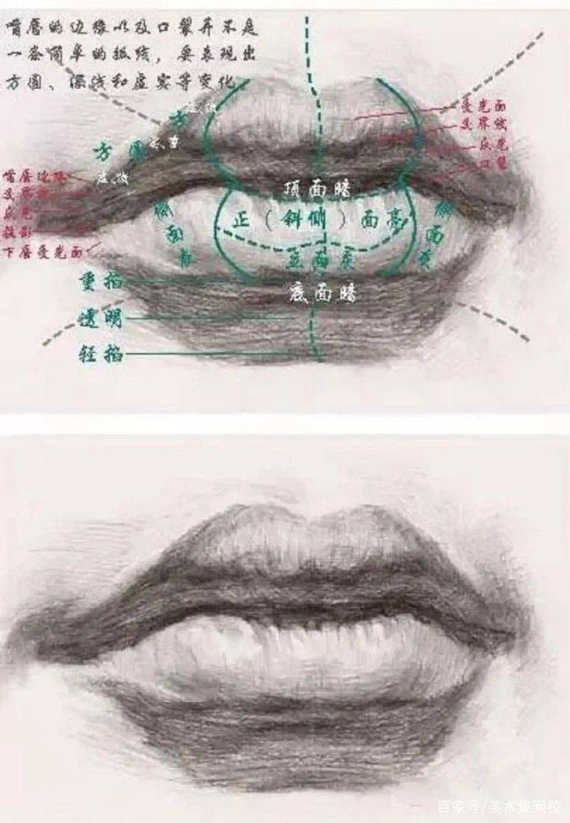Lip sketches