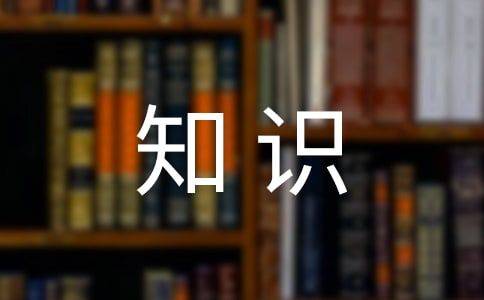 Test of a language competition for primary school
