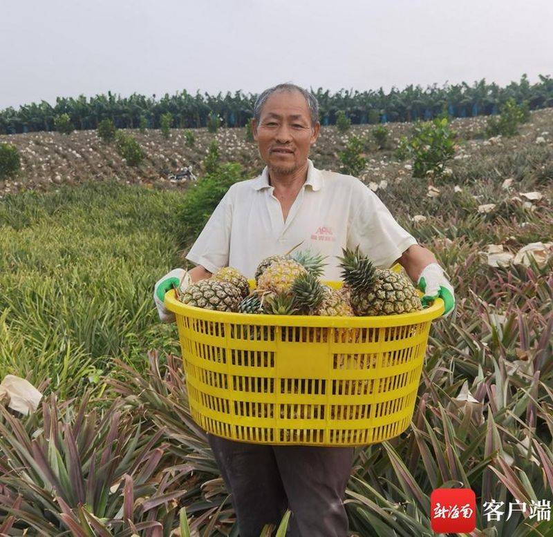State subsidy policy for fruit tree cultivation