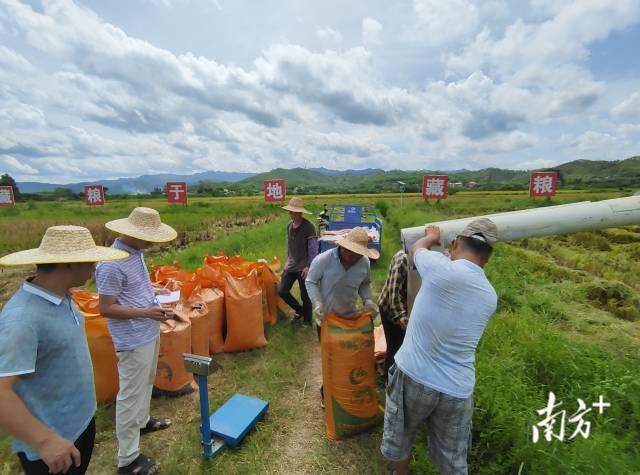 Rice dryer principles