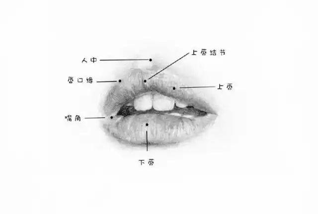 Lip sketches