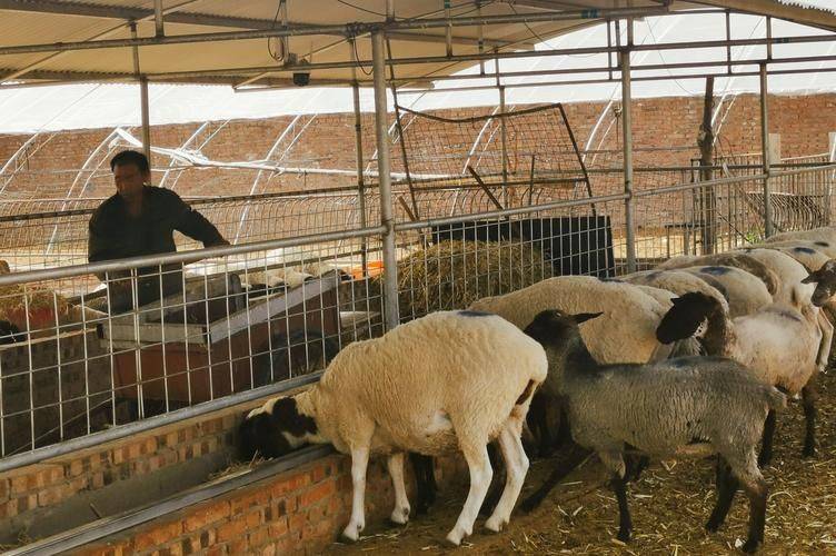 Artemisic farming methods