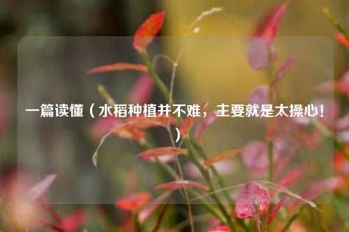 Rice cultivation methods
