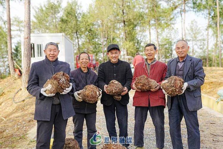 Pork farming techniques