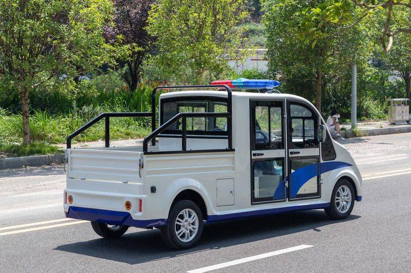 Cost of tourist cars