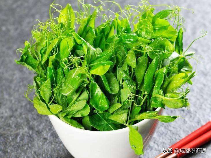 Family soya seedling cultivation methods