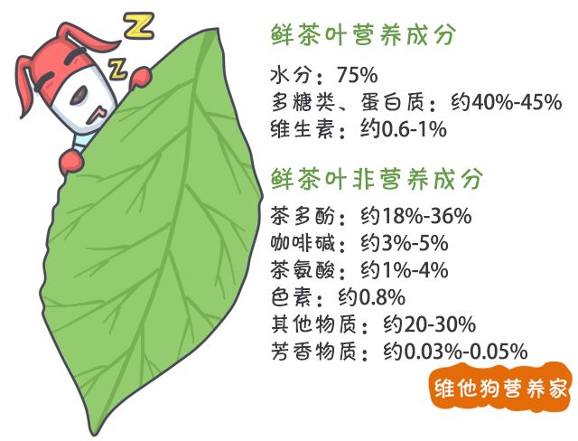 茶艺知识