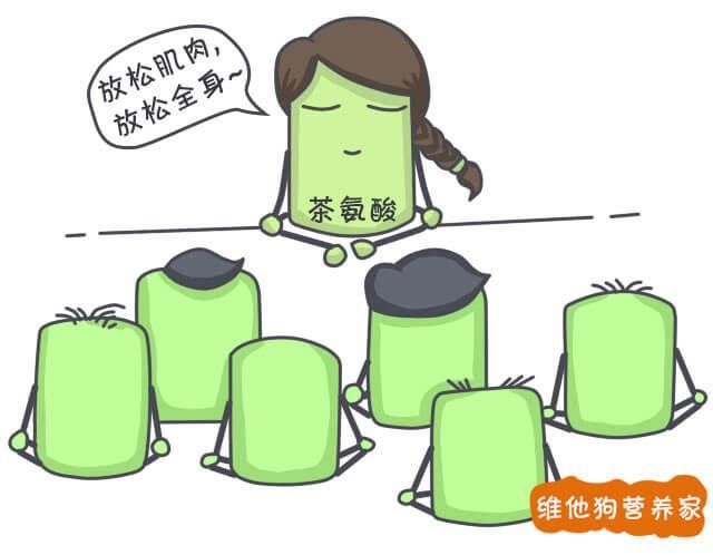 茶艺知识