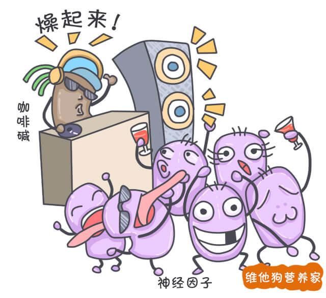 茶艺知识