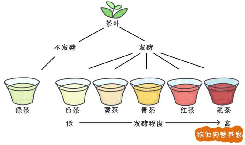 茶艺知识