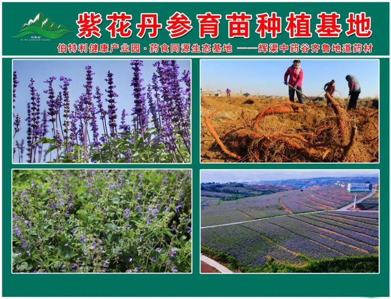 It's herbal medicine in my grain network