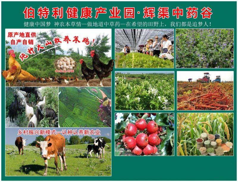 It's herbal medicine in my grain network