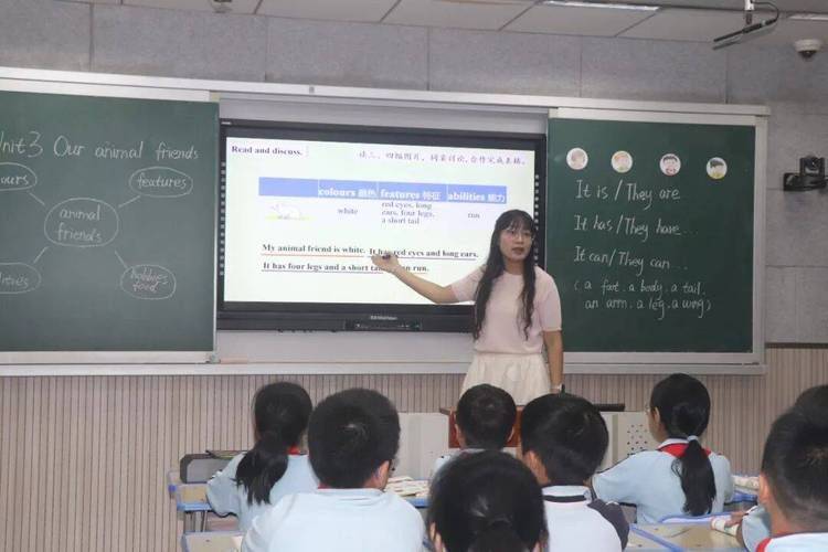 English literacy in primary schools