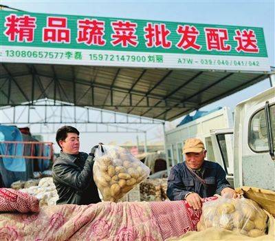 天津菜价上涨