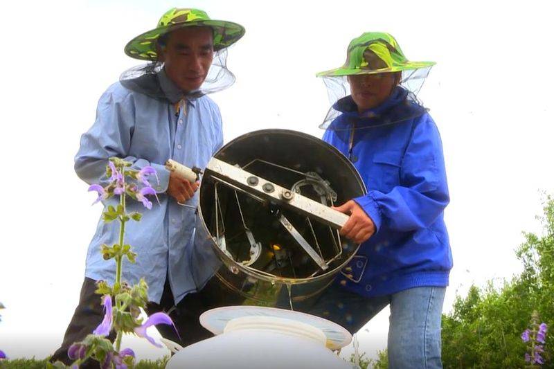 Dansing plantation technology