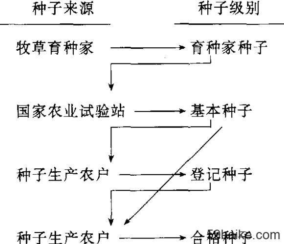 水稻的花器构造及开花习性