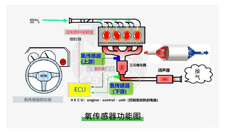 Briefly describe the working principles of the oxygen sensor