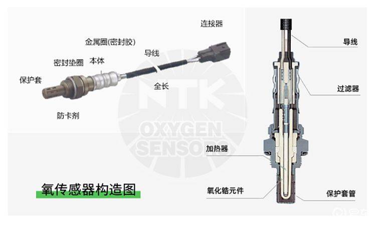 Briefly describe the working principles of the oxygen sensor