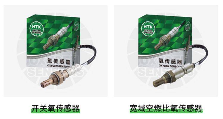 Briefly describe the working principles of the oxygen sensor