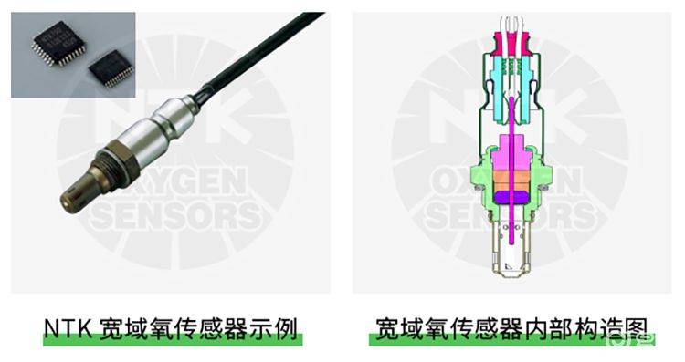 Briefly describe the working principles of the oxygen sensor