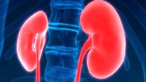 How much can kidney syndrome be cured? Money