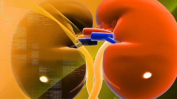 How much can kidney syndrome be cured? Money