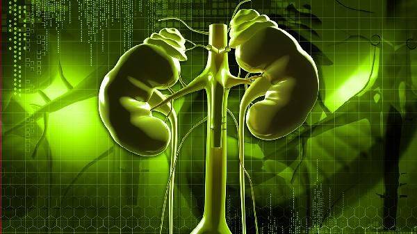How much can kidney syndrome be cured? Money