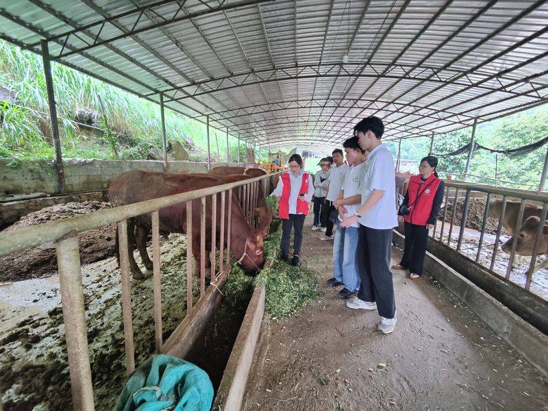 Questions and answers on foot-and-mouth disease control