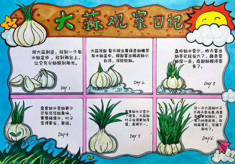 植物种植日记