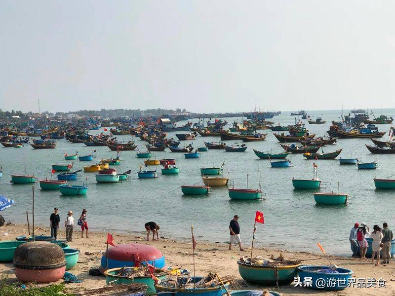 How much is vietnamese mi na's room