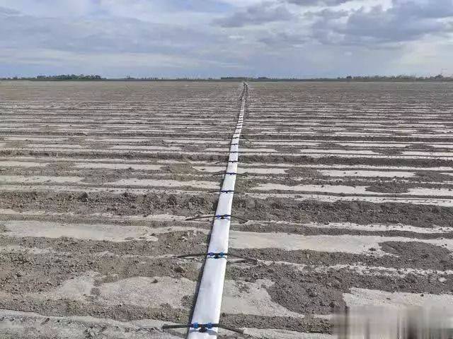 Technology for cotton cultivation