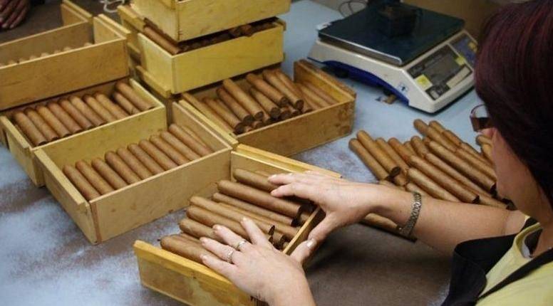 How much for a gospa cigar