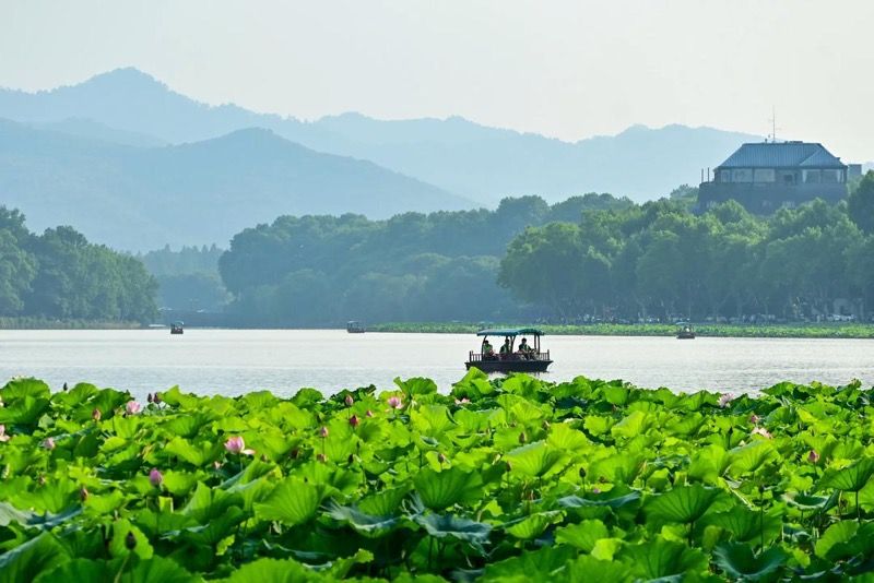 杭州山水宾馆 房价