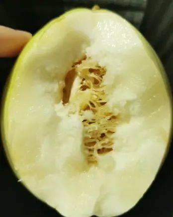 Cucumber cultivation techniques