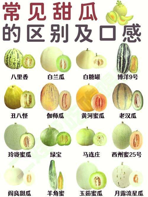 Cucumber cultivation techniques