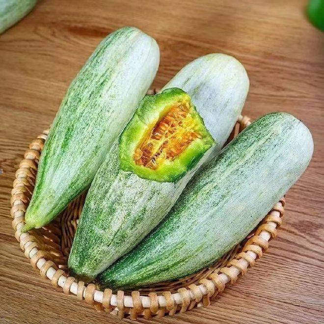 Cucumber cultivation techniques